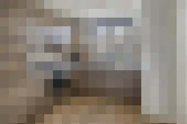 Vulcanusweg 37 Vaassen thumbnail 10