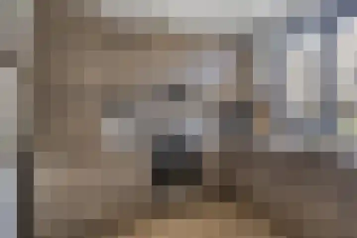 Vulcanusweg 37 Vaassen thumbnail 11