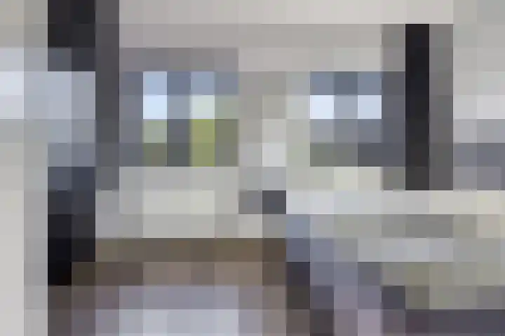 Vulcanusweg 37 Vaassen thumbnail 15