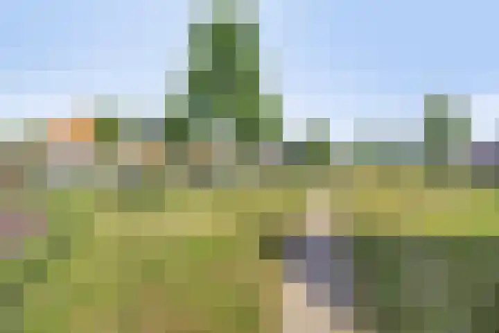 Vulcanusweg 37 Vaassen thumbnail 29