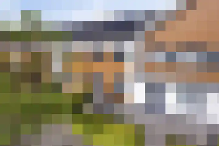 Vulcanusweg 37 Vaassen thumbnail 4