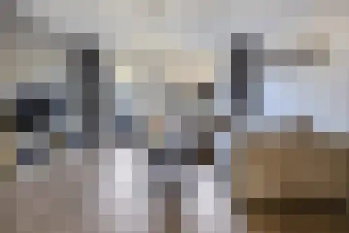 Vulcanusweg 37 Vaassen thumbnail 6