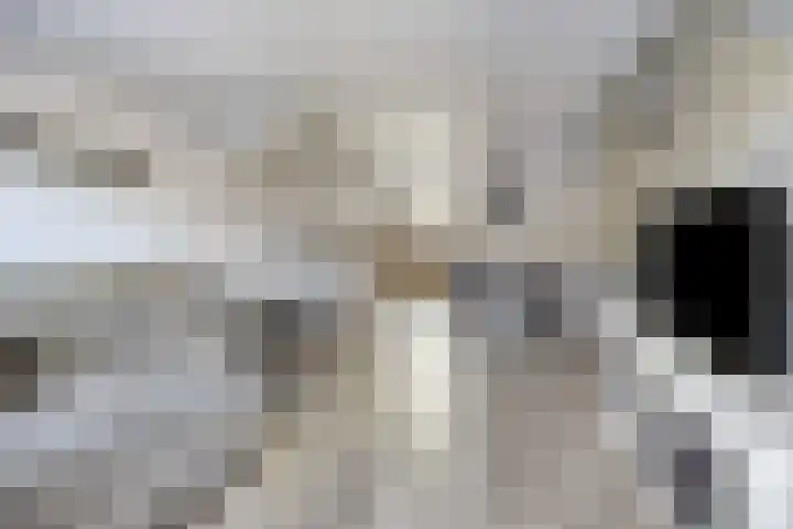 Vulcanusweg 37 Vaassen thumbnail 8