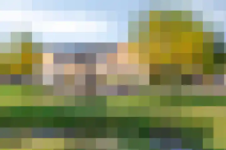 Vulcanusweg 53 Vaassen thumbnail 33