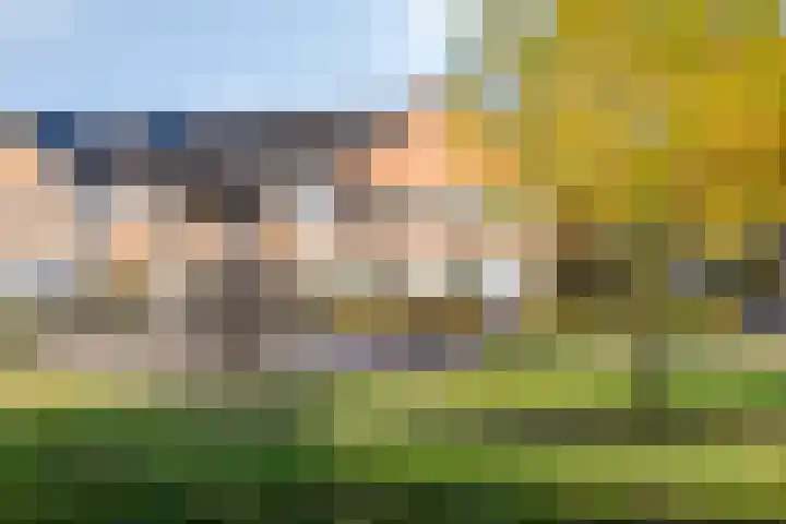 Vulcanusweg 53 Vaassen thumbnail 34