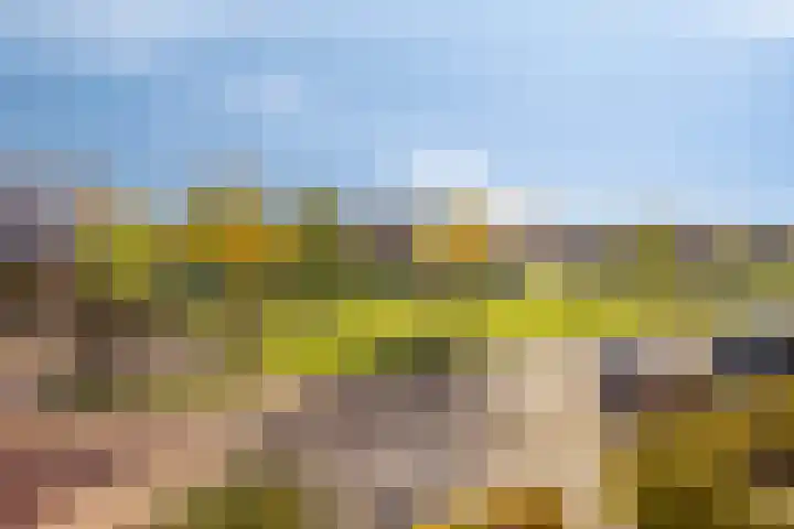 Vulcanusweg 53 Vaassen thumbnail 36