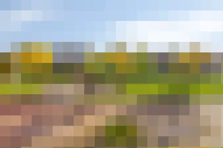 Vulcanusweg 53 Vaassen thumbnail 37