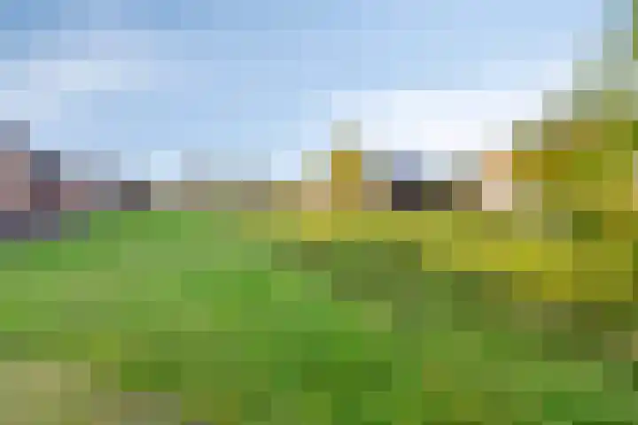 Vulcanusweg 53 Vaassen thumbnail 38