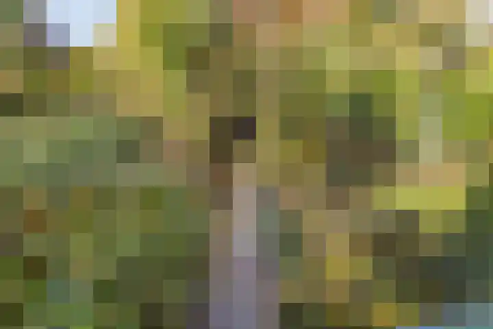 Vulcanusweg 53 Vaassen thumbnail 39