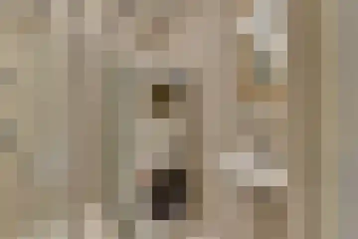 Vuldersbrink 57 Harderwijk thumbnail 33