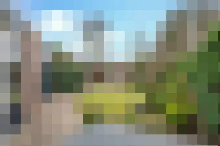 Vullinghspark 48 Heeze thumbnail 25
