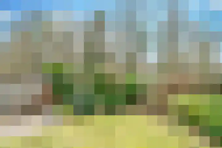 Vullinghspark 48 Heeze thumbnail 26