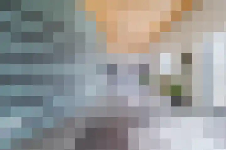 Vullinghspark 48 Heeze thumbnail 8