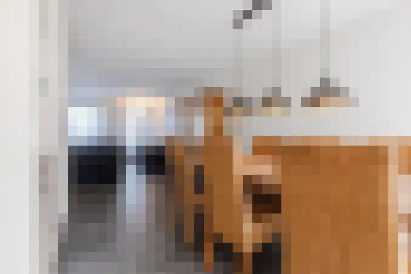 Vullinghspark 9 Heeze thumbnail 10