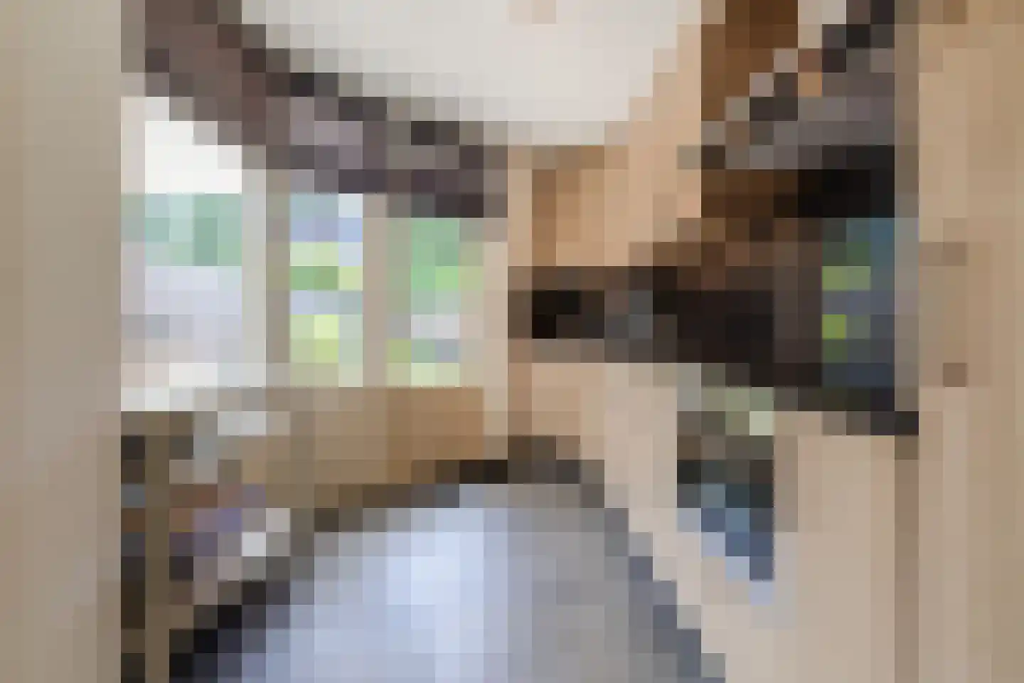 Vullinghspark 9 Heeze thumbnail 13
