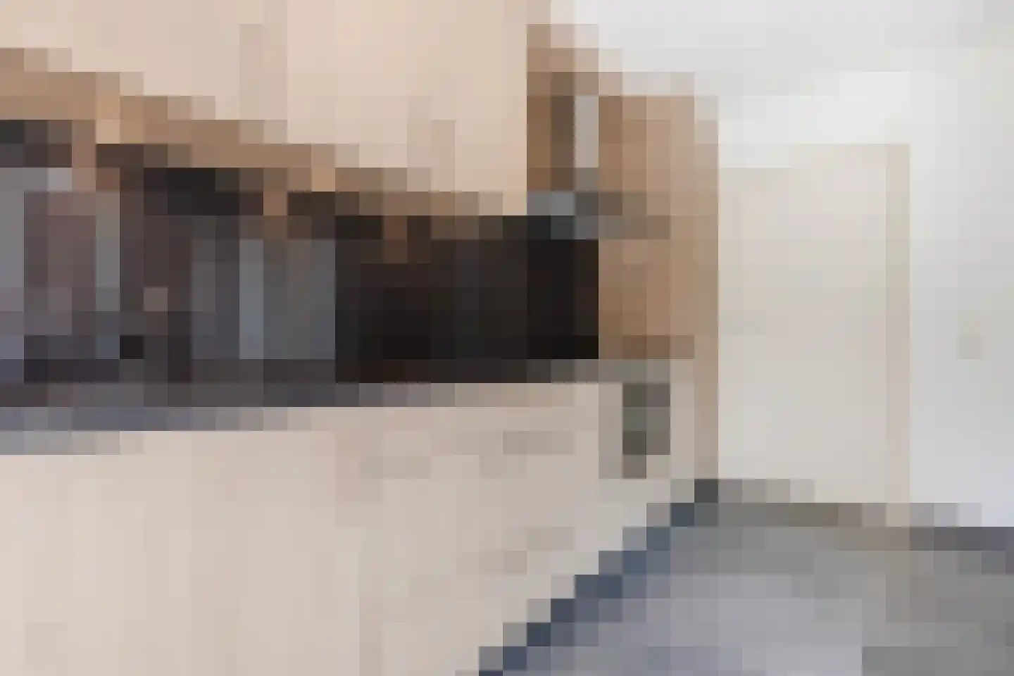 Vullinghspark 9 Heeze thumbnail 14