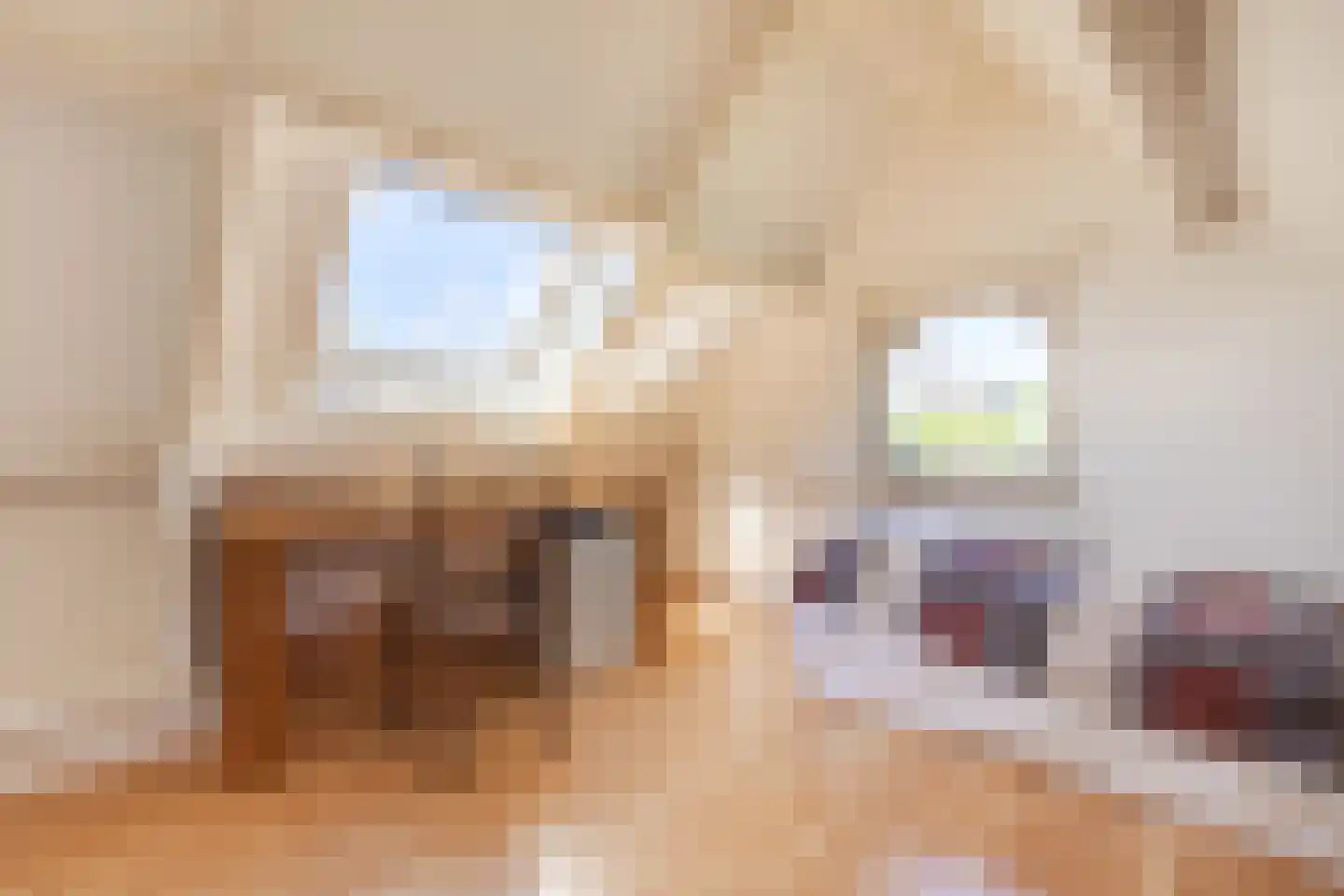 Vullinghspark 9 Heeze thumbnail 30