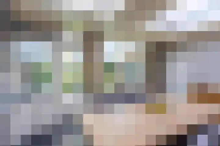 Vullingsstraat 10 Leunen thumbnail 10