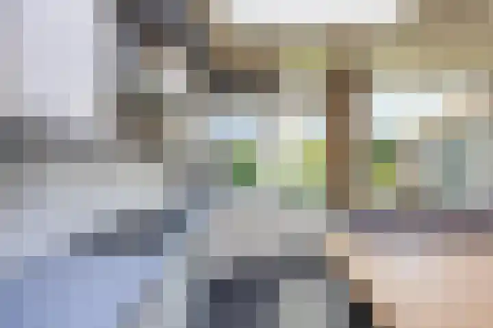 Vullingsstraat 10 Leunen thumbnail 12