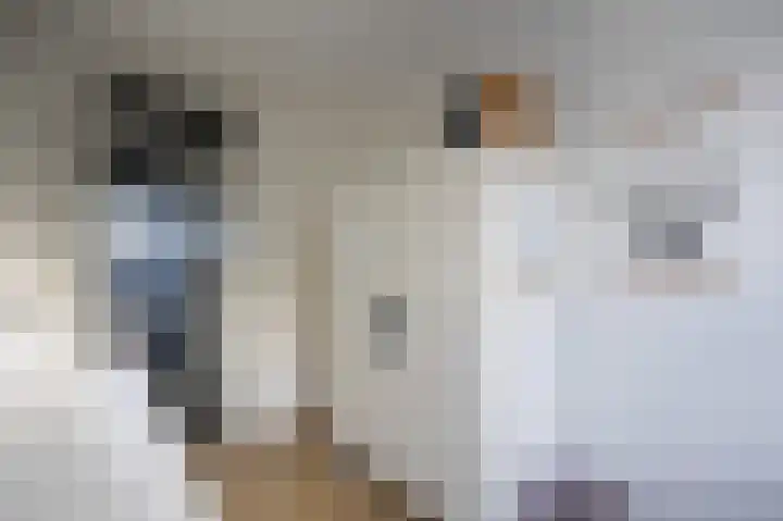 Vullingsstraat 10 Leunen thumbnail 25