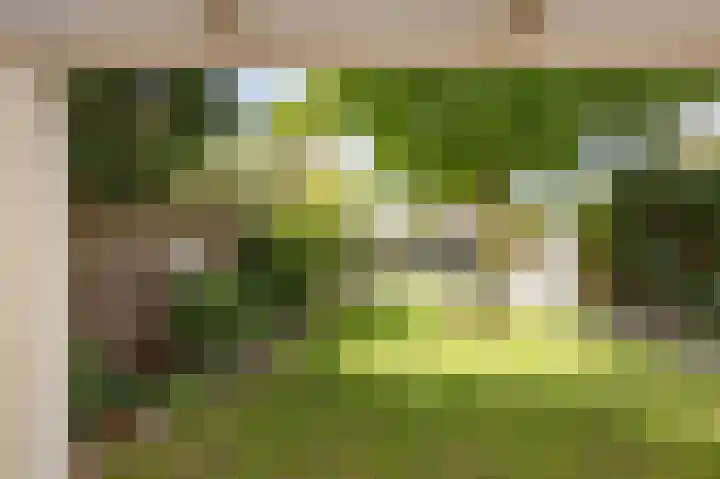 Vullingsstraat 10 Leunen thumbnail 36