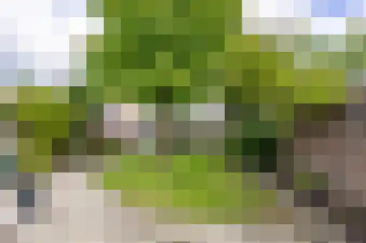Vullingsstraat 10 Leunen thumbnail 39
