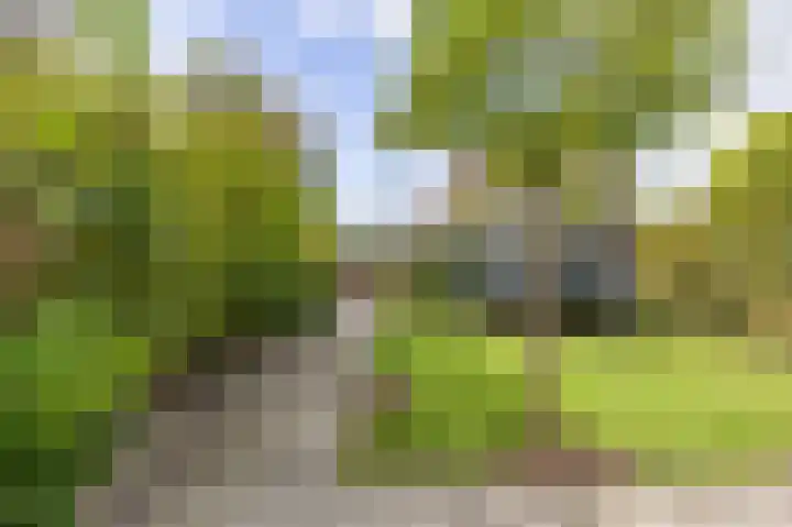 Vullingsstraat 10 Leunen thumbnail 41
