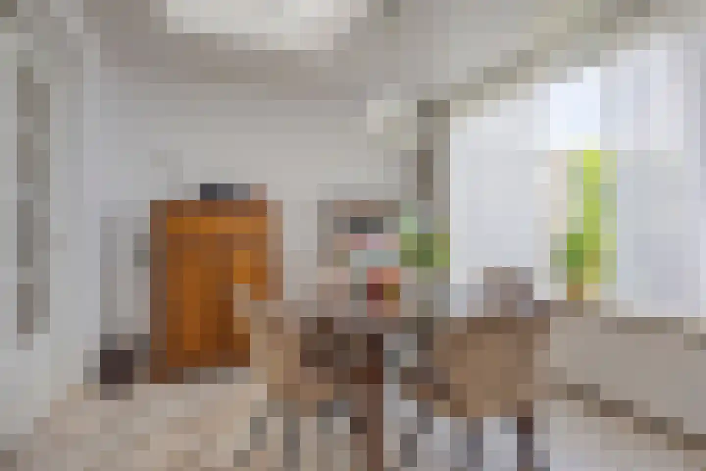 Vullingsstraat 15 Leunen thumbnail 16