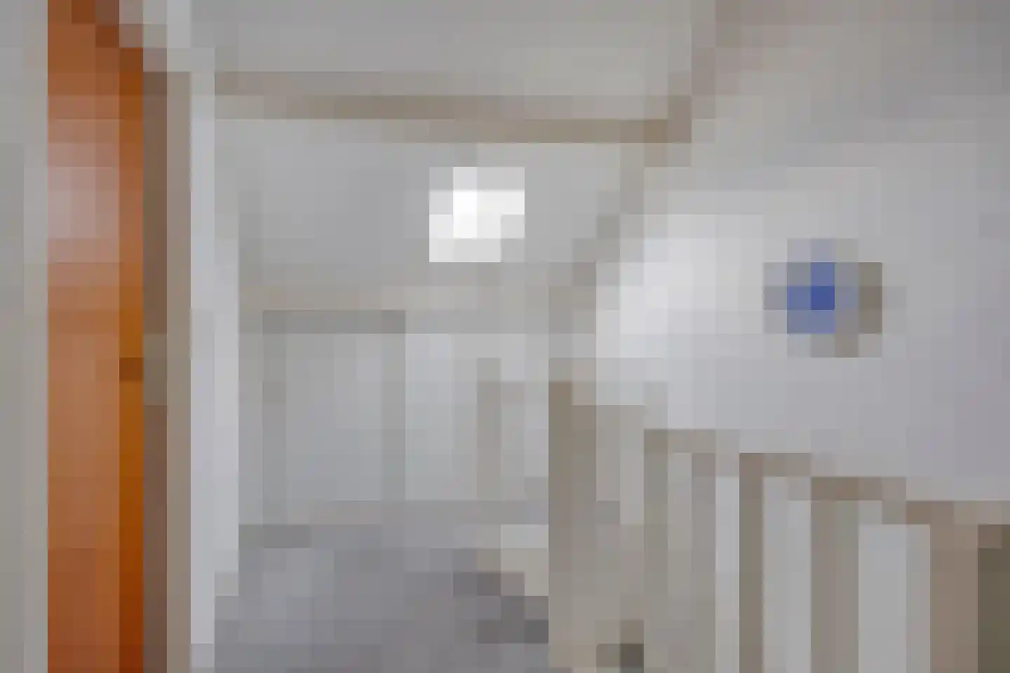 Vullingsstraat 15 Leunen thumbnail 30