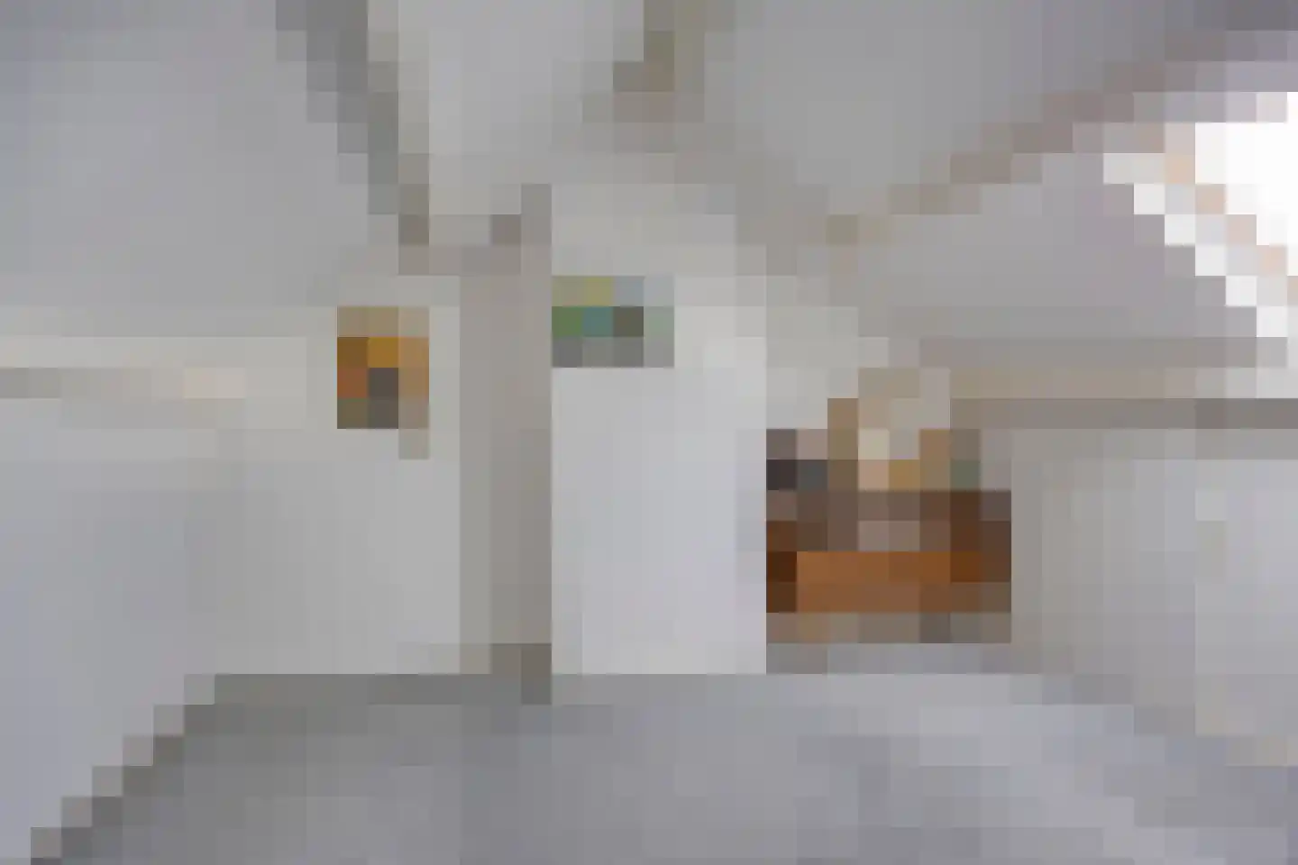Vullingsstraat 15 Leunen thumbnail 31
