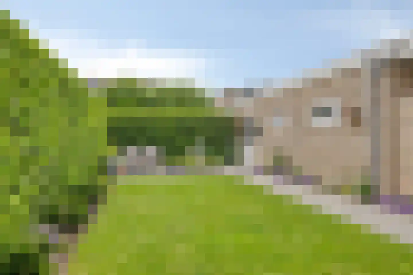 Vullingsstraat 15 Leunen thumbnail 35