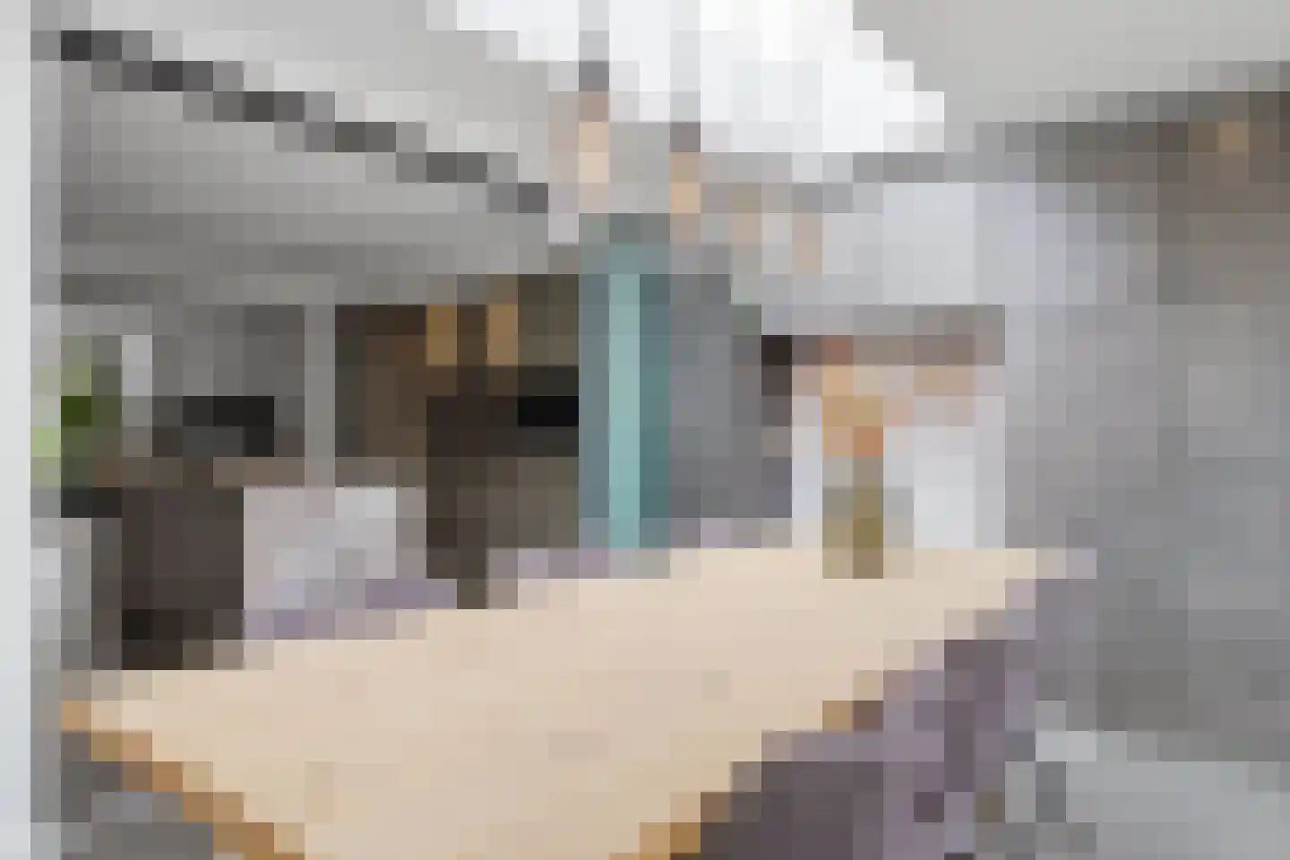Vullingsstraat 23 Leunen thumbnail 20
