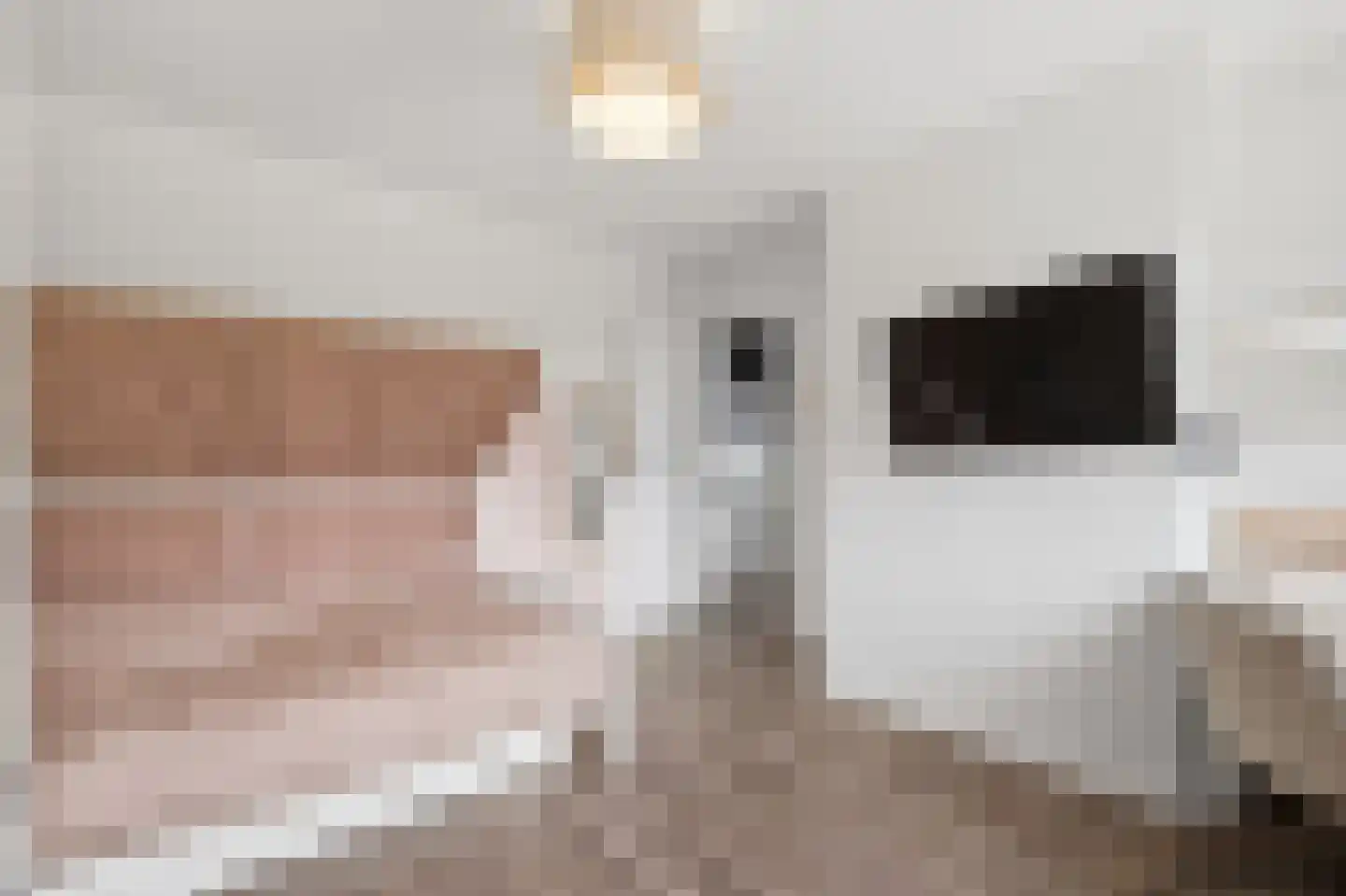 Vullingsstraat 23 Leunen thumbnail 30