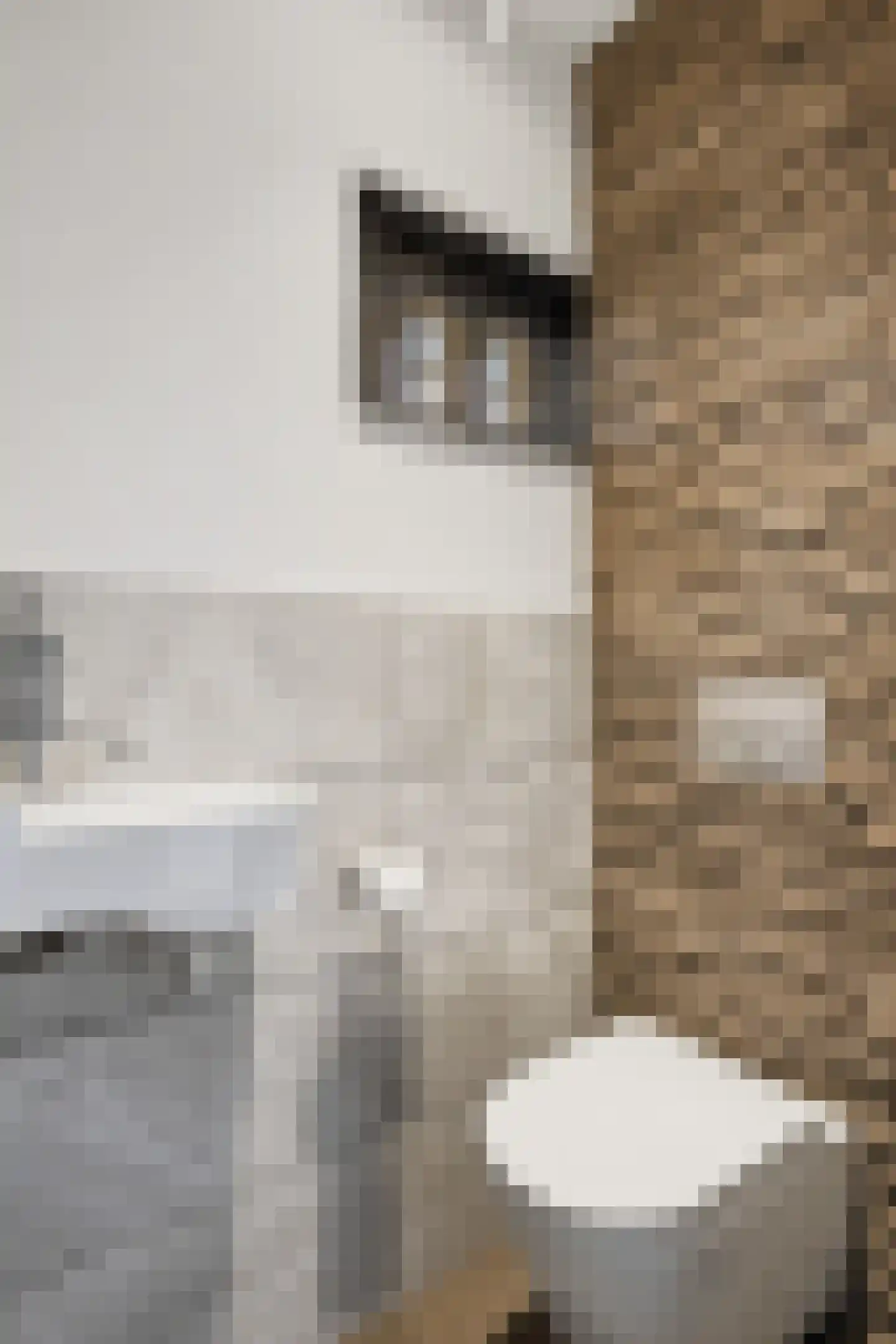 Vullingsstraat 23 Leunen thumbnail 6