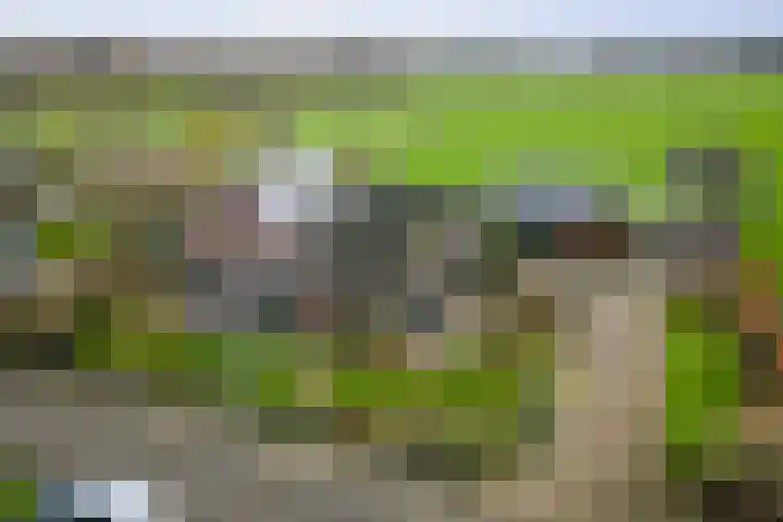 Vundelaarsweg 8 Wilp