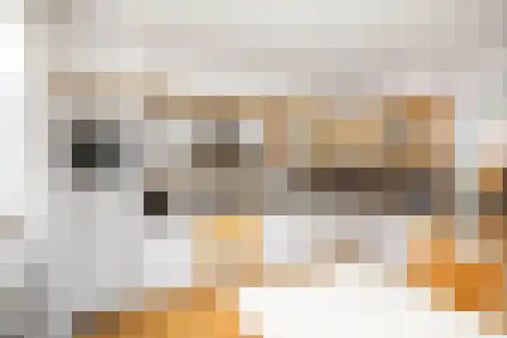 Vundelaarsweg 8 Wilp thumbnail 10