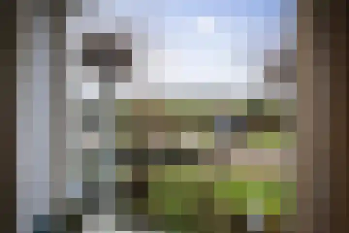 Vundelaarsweg 8 Wilp thumbnail 12