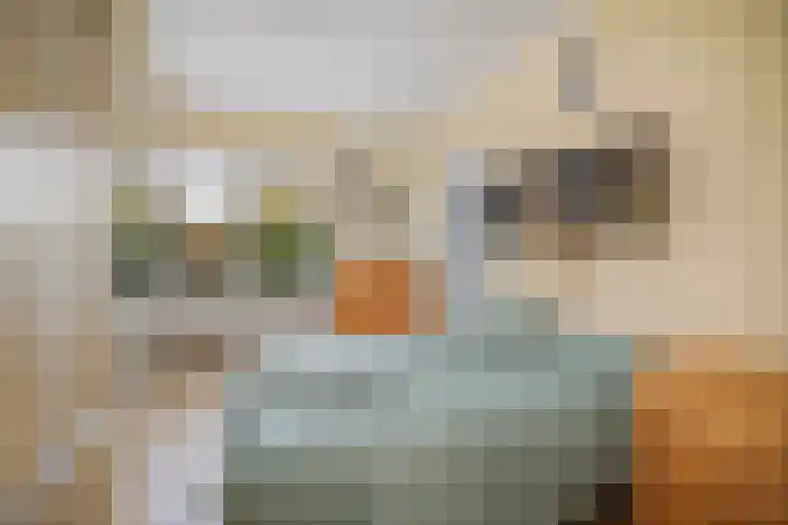 Vundelaarsweg 8 Wilp thumbnail 16