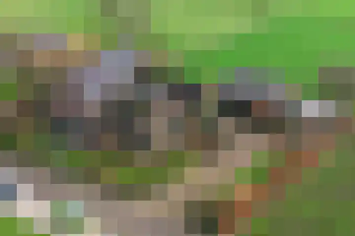 Vundelaarsweg 8 Wilp foto 2
