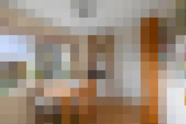 Vundelaarsweg 8 Wilp thumbnail 26