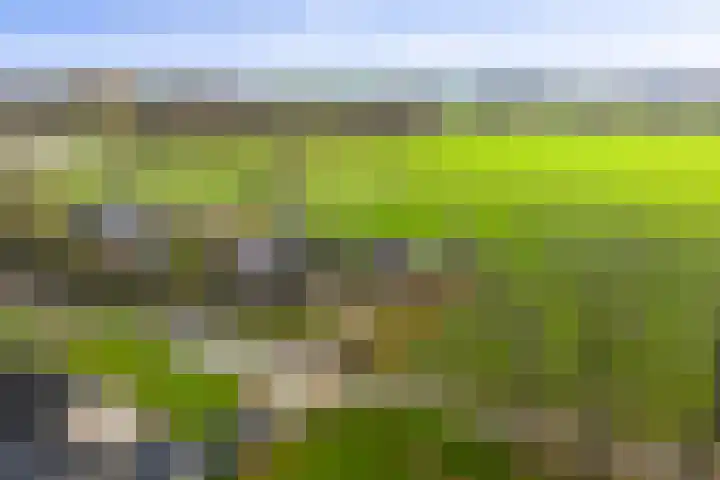 Vundelaarsweg 8 Wilp thumbnail 33