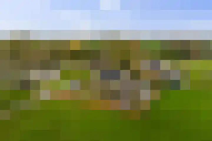 Vundelaarsweg 8 Wilp thumbnail 34