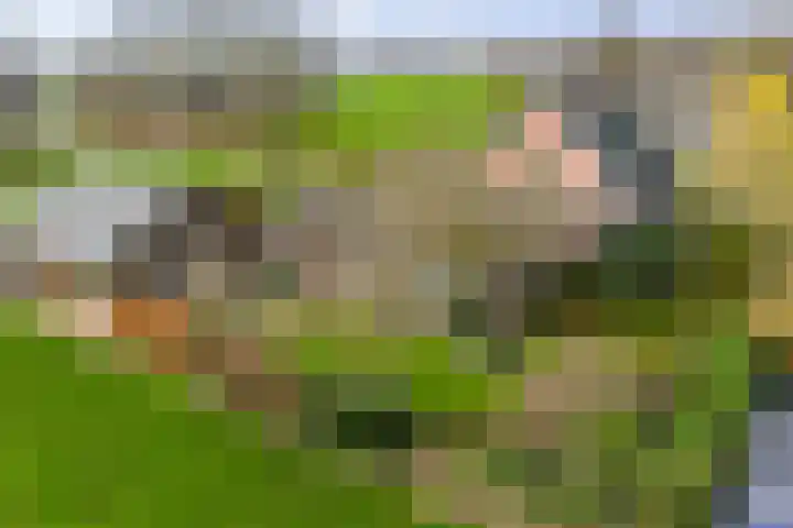 Vundelaarsweg 8 Wilp thumbnail 36