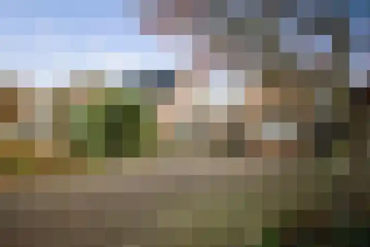 Vundelaarsweg 8 Wilp thumbnail 37