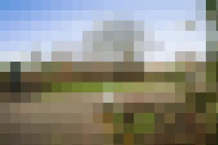 Vundelaarsweg 8 Wilp thumbnail 42
