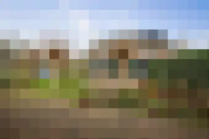 Vundelaarsweg 8 Wilp thumbnail 44