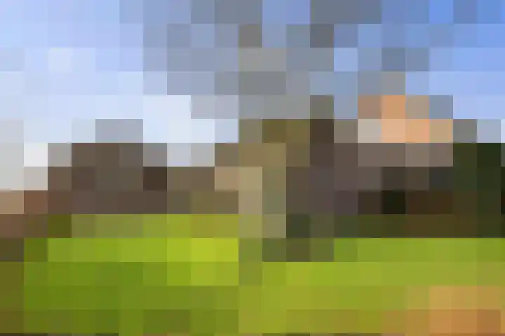 Vundelaarsweg 8 Wilp thumbnail 47