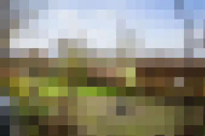 Vundelaarsweg 8 Wilp thumbnail 49