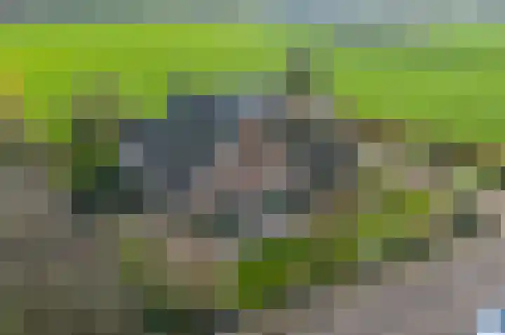 Vundelaarsweg 8 Wilp thumbnail 50
