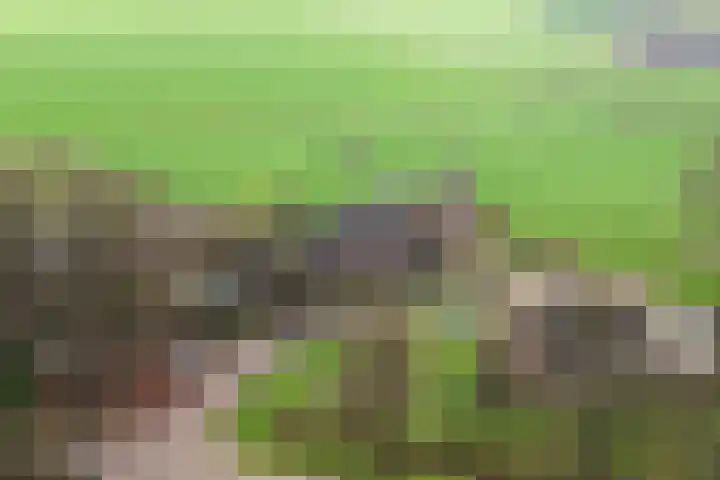 Vundelaarsweg 8 Wilp thumbnail 51